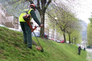 Travailleur-emplois-verts-300x200