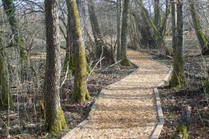 cheminement naturel Emplois Verts