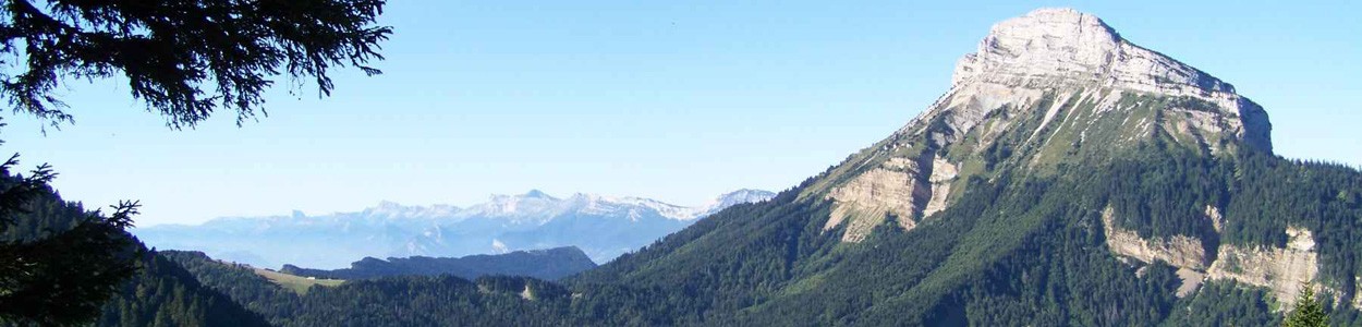 Emplois Verts