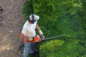 Travailleur-emplois-verts-300x200