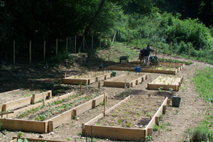 jardins-de-cure-300x200