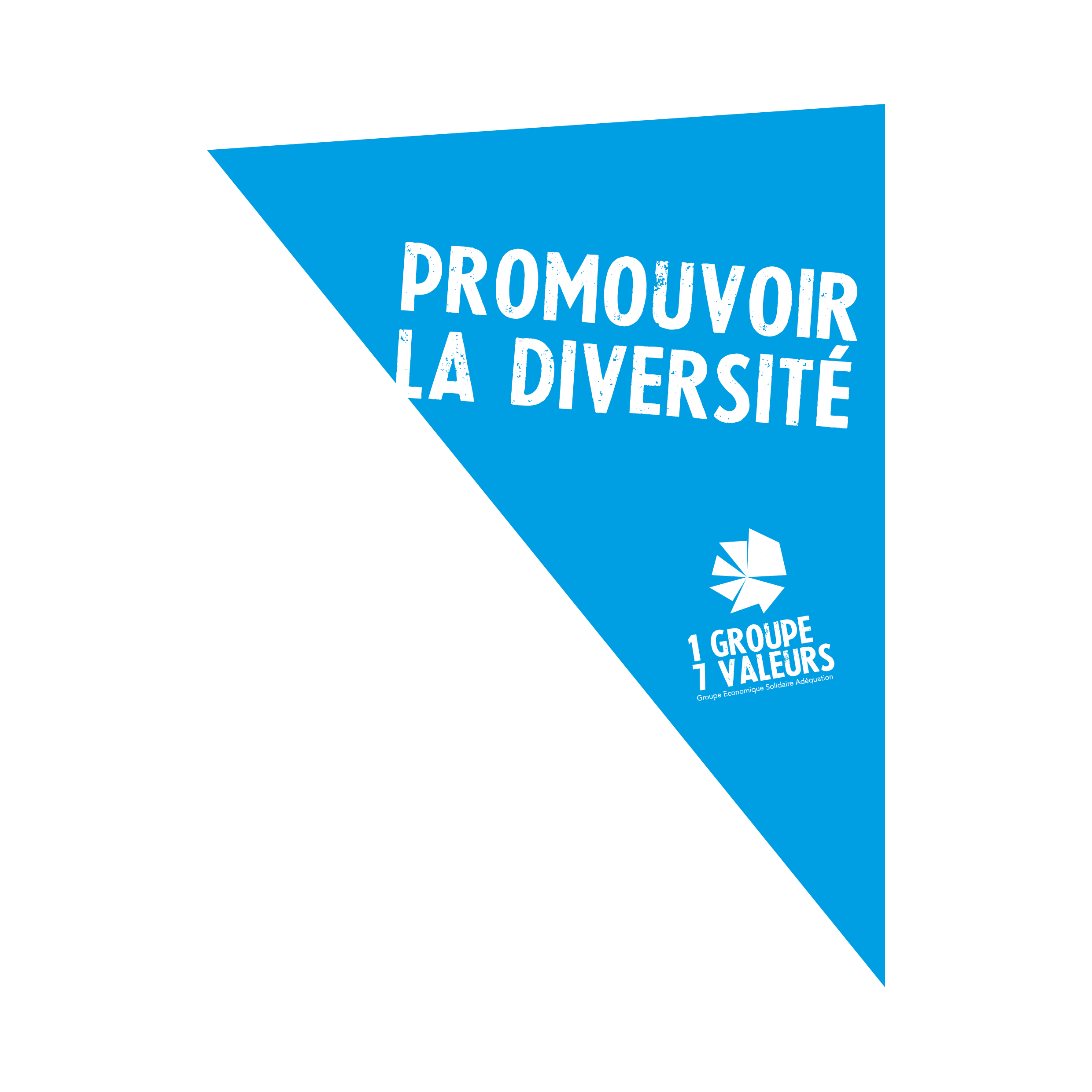 Promouvoir la diversité